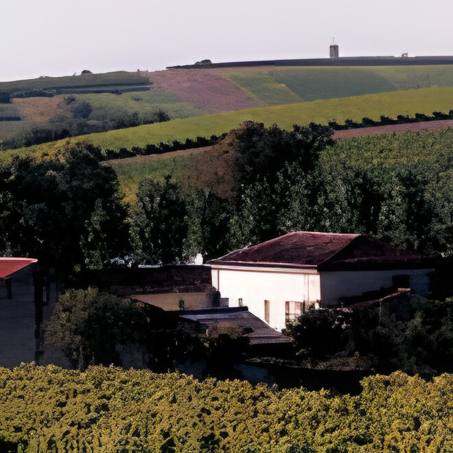Le vignoble de la propriété Billy en Grande Champagne
